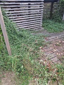 Rydning af terrasse Horsens 1