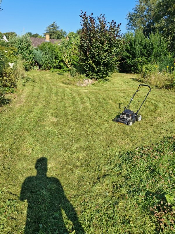 Græsslåning Horsens 2