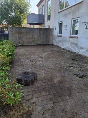 Rengøring af fliser Horsens 2